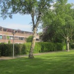 dalheimpad-zomer.jpg