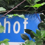 hof-in-groen.jpg