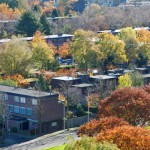 landschap.panorama.01.nvo.jpg
