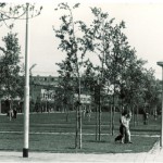 t-hool-jaren-70-dalheimpad.jpg