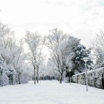 winter-in-t-hool-dalheimpad-2.jpeg