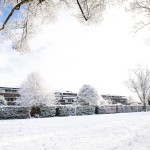 winter-in-t-hool-dalheimpad.jpeg